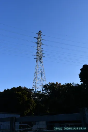 2020年11月14日(土)　ぽかぽかの小春日和^^