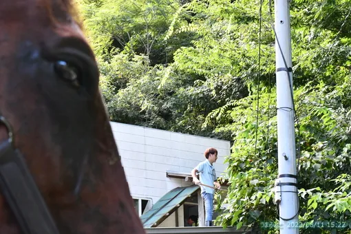 oiso