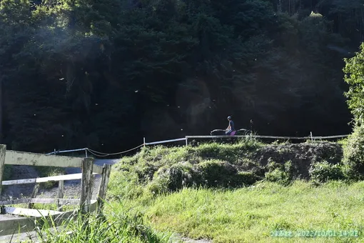 oiso