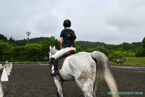 2023年6月10日(土)　第26回ホースフェスティバル（障害）IN津久井