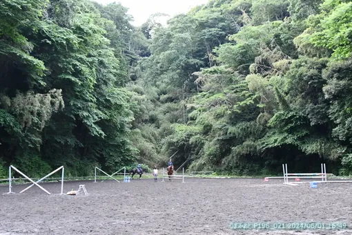 oiso