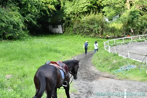 oiso