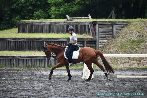 oiso