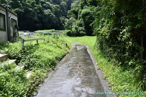 2024年6月29日(土)　大雨の後遺症