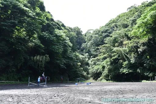oiso
