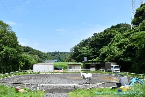 oiso
