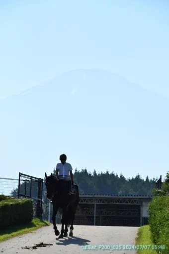 oiso