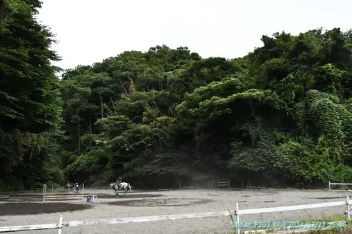 oiso