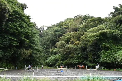 2024年10月5日(土)　雨で肌寒い一日