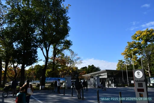 oiso