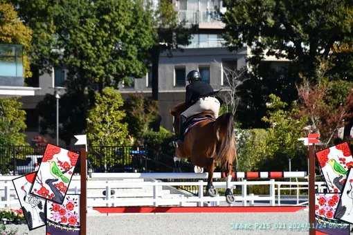 oiso