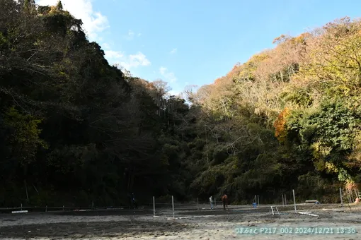 2024年12月21日(土)　少し気温高め