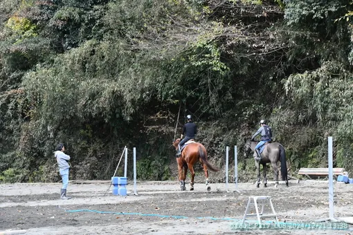 oiso