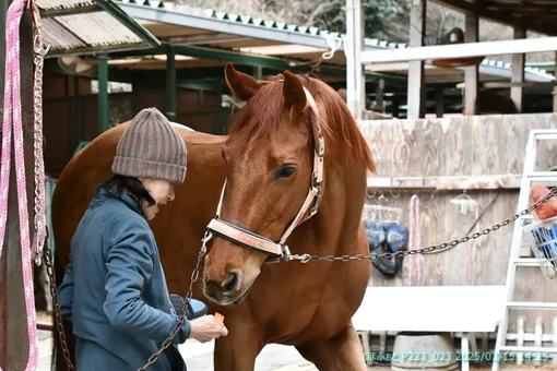 oiso