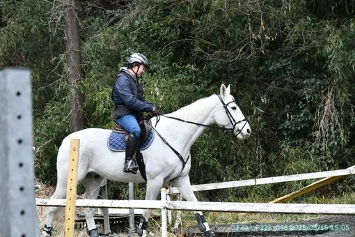 oiso