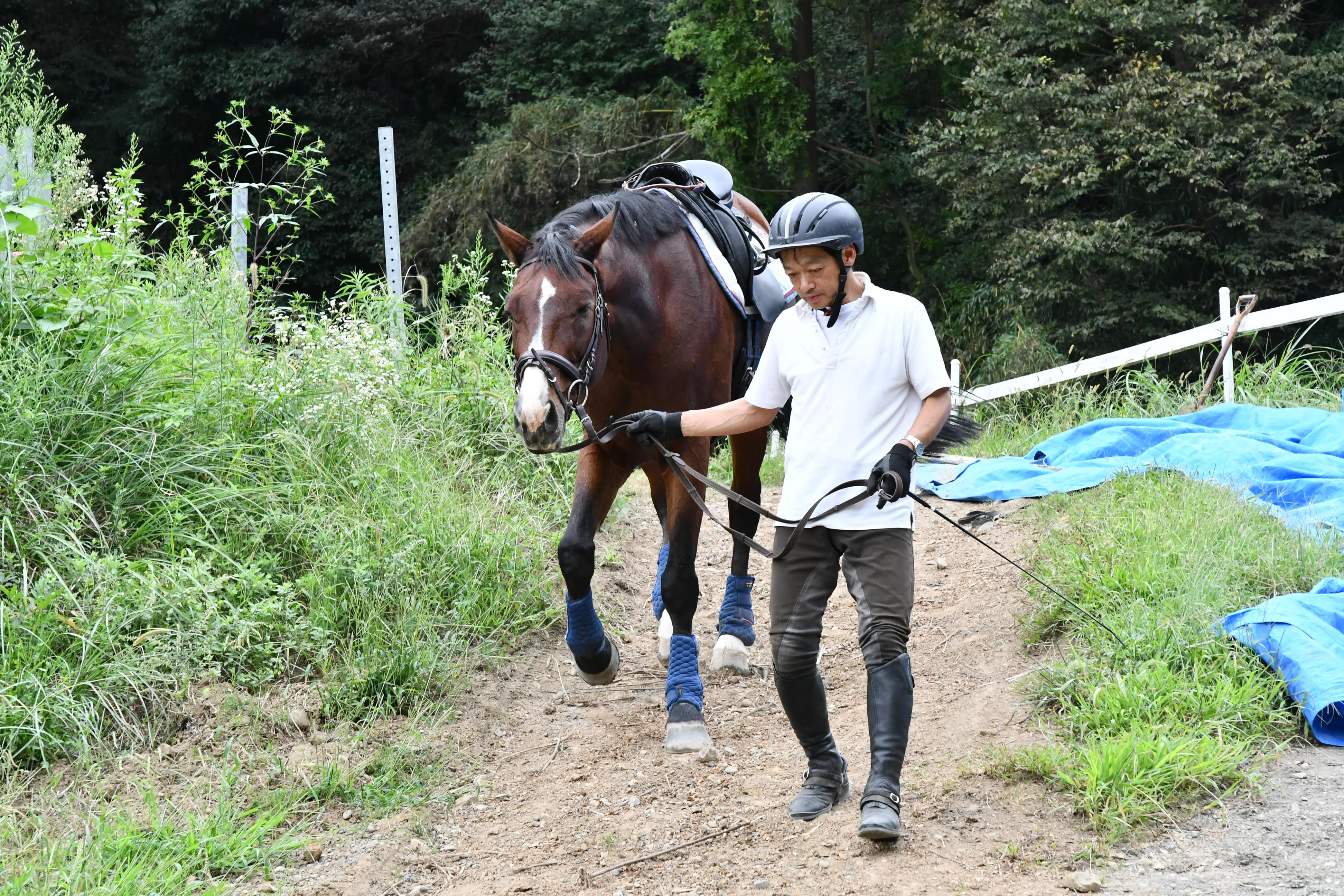 oiso