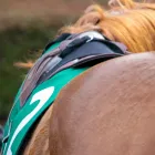 レッスン