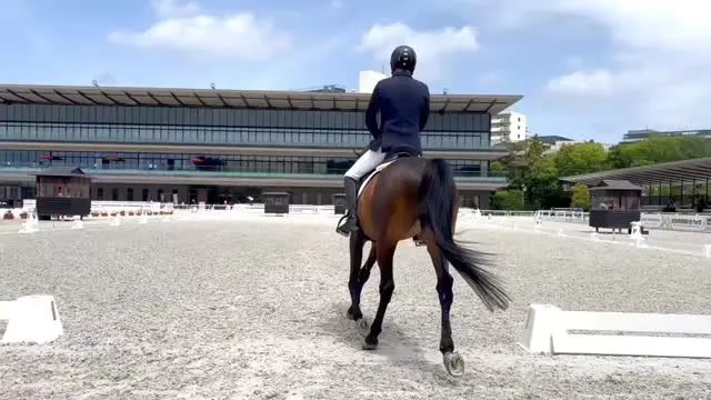 ​【全日本馬場馬術Part2入賞！】
